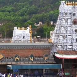 hyderabad to tirupati tempo traveller 12 seater
